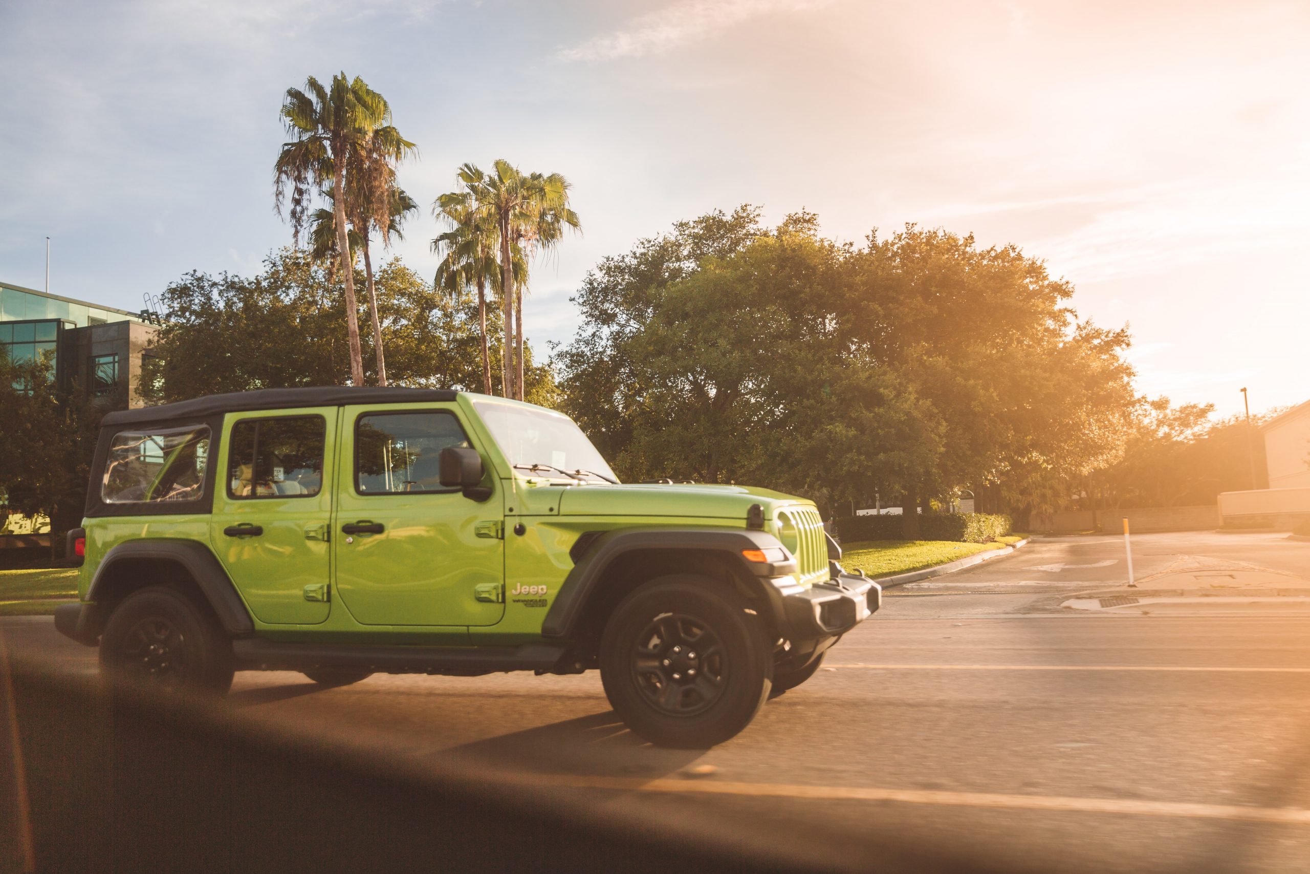 tampa auto glass
